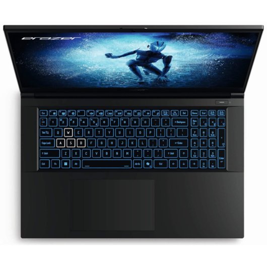 Medion Erazer Defender P50i MD62684 Intel Core i5-13420H/16GB/1TB SSD/RTX 4060/17.3"