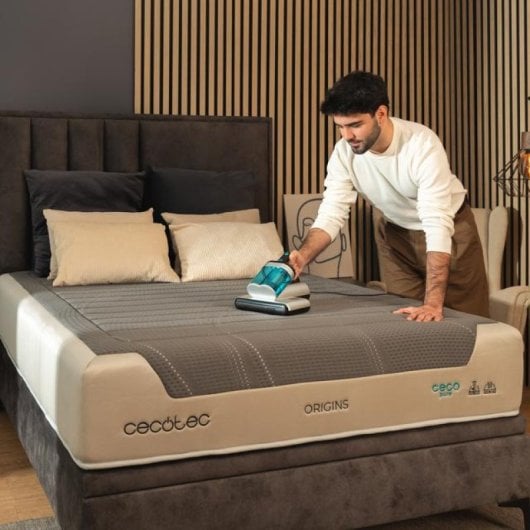 Cecotec Conga Rockstar 4000 Mattress Aspirador De Colchón 400W Inox