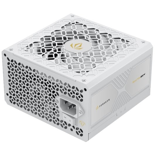 Alimentation entièrement modulaire Forgeon Reactor 850 W Cybenetics Platinum ATX 3.1 PCIe 5.1 Blanc