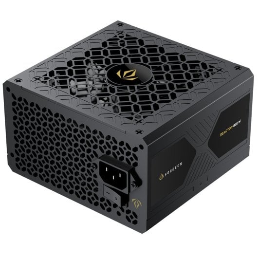 Forgeon Reactor 850W Cybenetics Platinum ATX 3.1 PCIe 5.1 Vollmodulares Netzteil, Schwarz