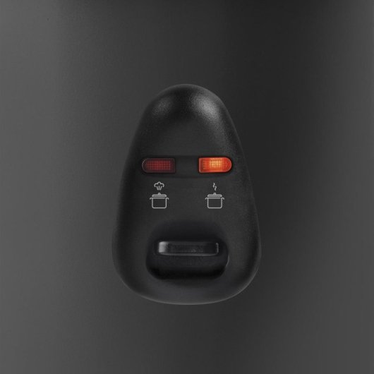 Cuiseur à riz Ufesa Jasmin AR4010 1 L 400 W Noir