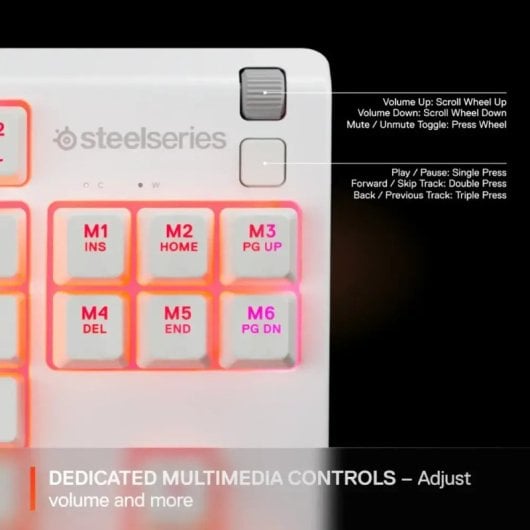 SteelSeries Apex 3 TKL Teclado Gaming RGB Blanco Teclado USA