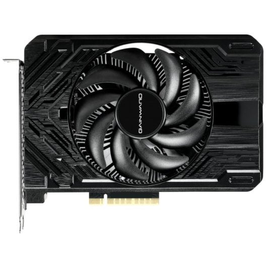 Scheda grafica Geforce Rtx 4060 Pegasus di Gainward