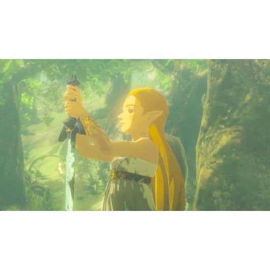 Zelda Breath of the Wild Nintendo Switch 2 Edition