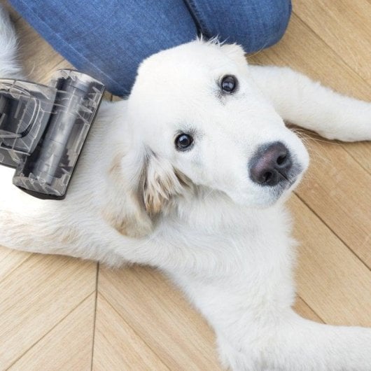 Beutelloser Staubsauger HKoenig STC58 850W 2,5L HEPA12 Tierhaar- und Hartboden-Set