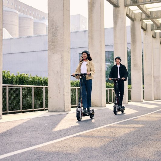 Segway Ninebot F3 E Patinete Eléctrico 1000W 70Km Suspension Hidraúlica Bluetooth Negro