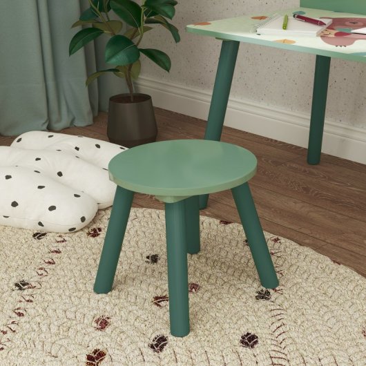 Aiyaplay Mesa Y Silla Infantiles De 2 Piezas Con Estante Para Libros Verde