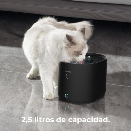 Cecotec Pumba 6000 Purrfect Meal Smart Vision Comedero Mascotas + Pumba 2500 Refresh Smart Bebedero