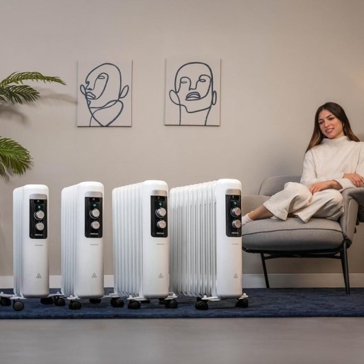 Cecotec ReadyWarm 750 Space White Radiateur électrique compact 1500 W avec commande manuelle et système anti-basculement