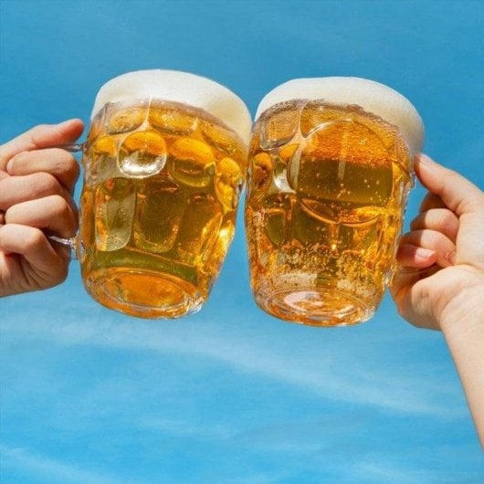 Bierdispenser Cecotec BeerFlow 500 Tragbar Kompatibel mit Dosen und Flaschen Steuerung Schaum