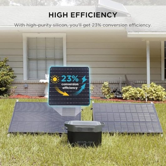 EcoFlow Panel Solar Rígido de 100W 20.3V IP68 Pack 2 Unidades