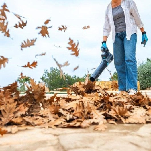 Soplador Cecotec AirForce 4000 Bazooka Turbo 21V Brushless 740 m³/h Turbo