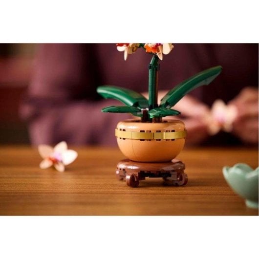 LEGO Botanicals Miniorquídea 10343 274 peças