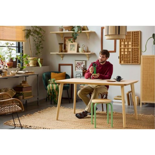 Lego Botanicals Bambú de la Suerte, Planta Artificial y Decoración Hogar para Adultos