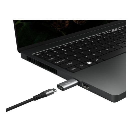 Adaptador USB Trust Calyx USB 3.2 Gen2 Tipo-C Hembra a USB-A Macho Gris 7g