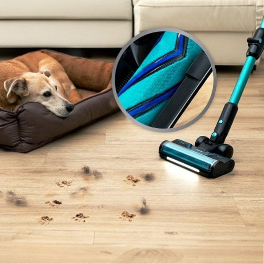 Aspirateur sans fil Cecotec 300AW Home&Car Pack, autonomie de 90 minutes, brosse sans poils