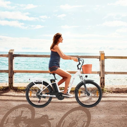 Alfa Elektrofahrrad EB-YY-26ST 250W 36V 14,5Ah 6 Geschwindigkeiten 25km/h