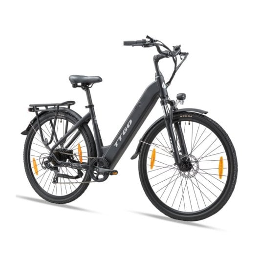 Alfa 250 W 36 V 20 Ah Elektrofahrrad, 100 km Reichweite, LCD-Scheibenbremsen, Schwarz