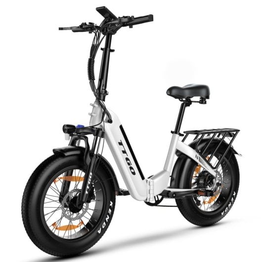 Alfa 250W 36V 25Ah LCD Elektrofahrrad mit 20x4″ Rädern und Hinterradfederung