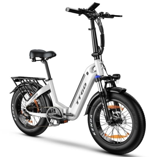 Alfa 250W 36V 25Ah LCD Elektrofahrrad mit 20x4″ Rädern und Hinterradfederung