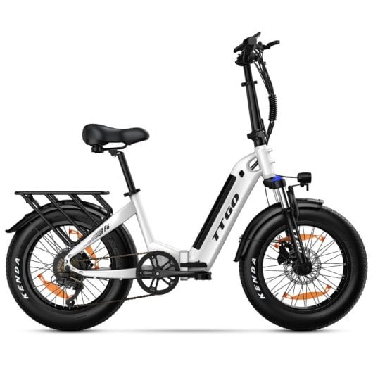 Alfa 250W 36V 25Ah LCD Elektrofahrrad mit 20x4″ Rädern und Hinterradfederung