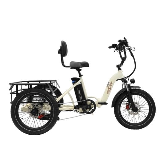 Tricycle électrique OneSport avec batterie amovible 48V 13Ah, pneus 20x3.0, cadre bas, pliable
