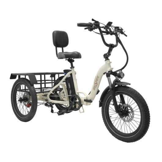 Tricycle électrique OneSport avec batterie amovible 48V 13Ah, pneus 20x3.0, cadre bas, pliable