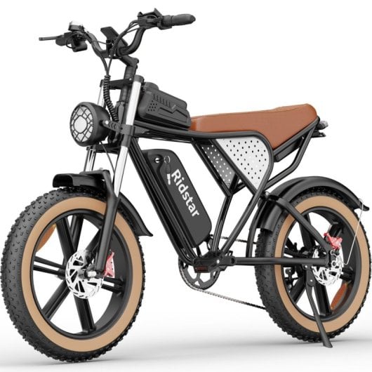 Ridstar Q20 750W Fatbike 20x4,0" vollgefedertes All-Terrain-Elektrofahrrad