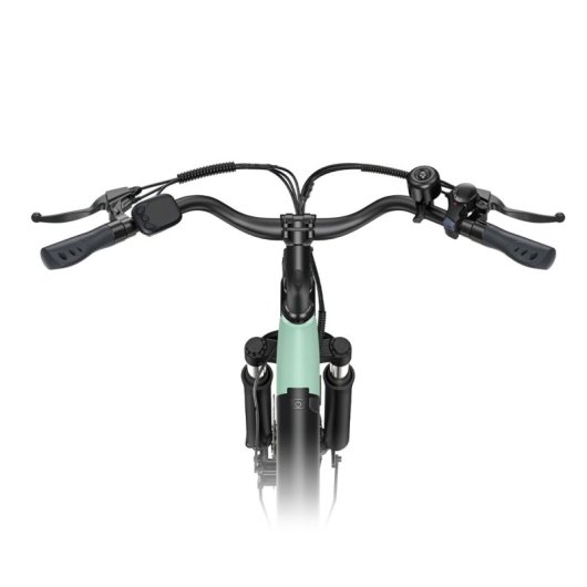Bicicleta eléctrica HillMilES Motor 250W Batería 36V 13Ah Sensor de Par 26x1.95