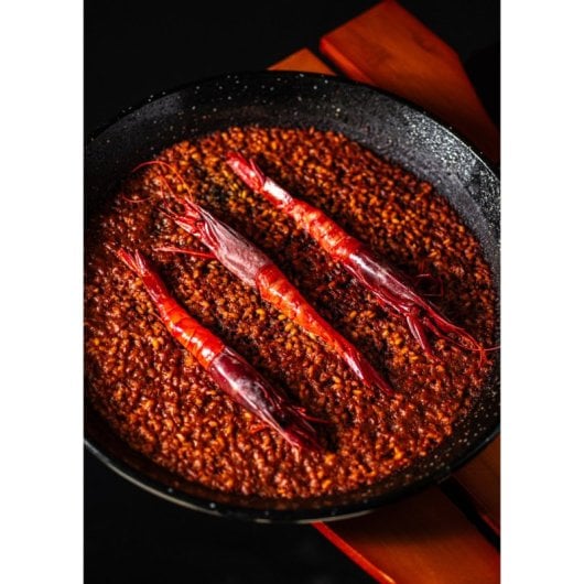 Barbacoa japonesa Create cerámica 430°C multiuso bajo consumo fácil limpieza