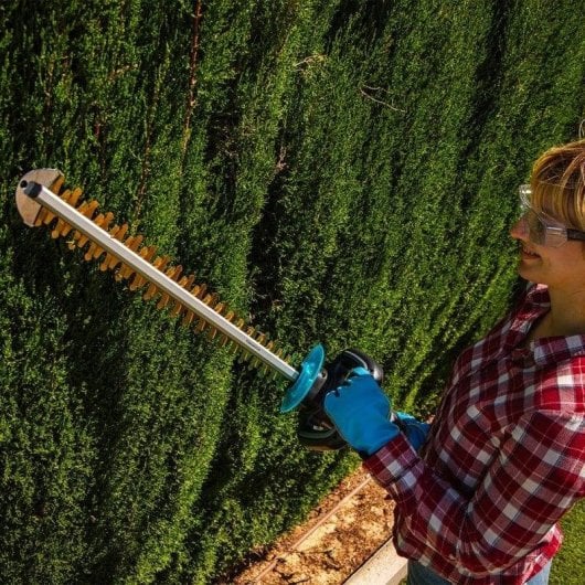 Cortasetos Cecotec TitaniumSword 610 XL cuchillas titanio mando rotatorio 61 cm