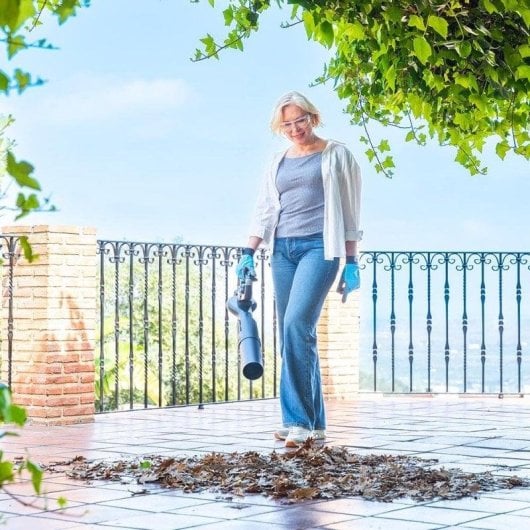 Soplader Cecotec AirForce 2in1 3000W 21V 4Ah 300km/h 800m³/h Ultralight