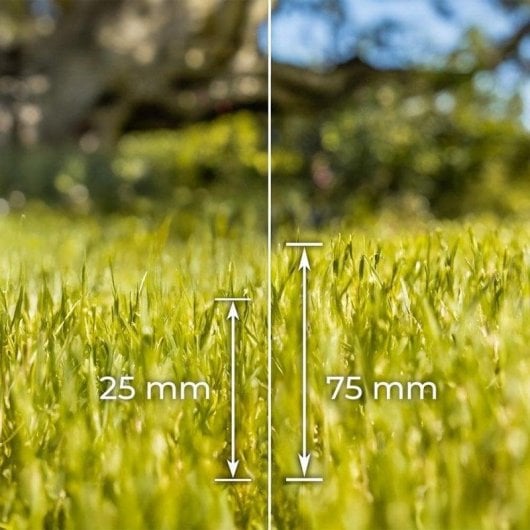 Tosaerba Cecotec Terrenator 360 Flex Z 1500W 36cm 3in1 Mulching BeltDrive XL