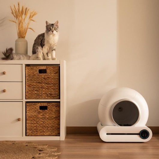 Arenero Cecotec Pumba 8500 CleanKitty Smart autolimpieza wifi 65L sensor infrarrojos