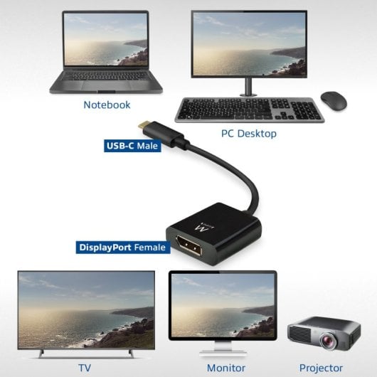 Adaptador Ewent EW9825 USB Tipo C a DisplayPort 0,15m Macho-Hembra Derecho