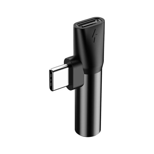Adaptateur Type-C vers Type-C/3,5 mm Baseus CATL41-01 Noir Haute Fidélité