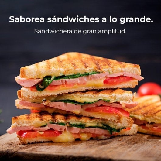 Cecotec Edelstahl-Sandwichmaker RockStone Antihaftbeschichtung 1000W Kapazität 2 Sandwiches