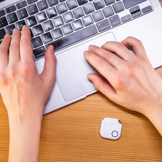 Centrale Domotique Shelly BLU Button 1 Bluetooth BLE Compatibilité Alexa Google Home Find Me