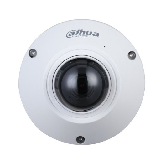 Câmara IP Dahua DH-IPC-EB5541P-M-DAE-AS 5MP Fisheye AI IP67 IK10