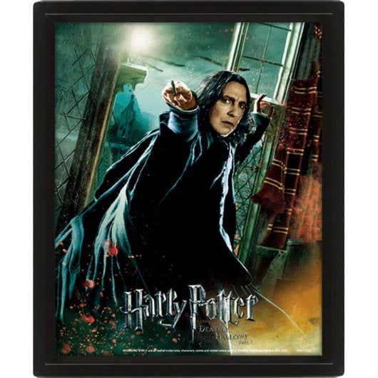 Poster lenticulaire Pyramide Harry Potter 23,5x28,5 cm encadré officiel effet 3D