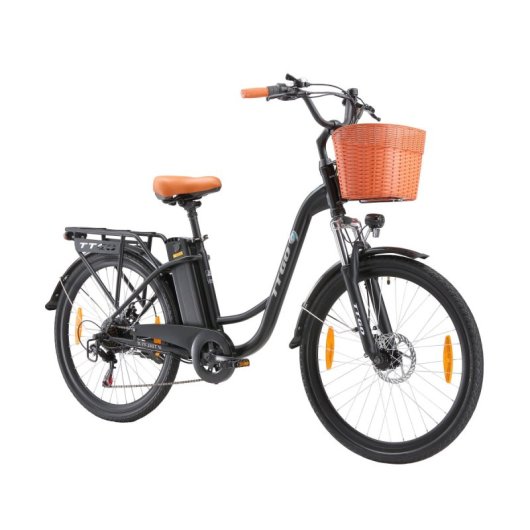 Alfa Elektrofahrrad EB-YY-26ST 250W 36V 14,5Ah 25km/h 6 Gänge