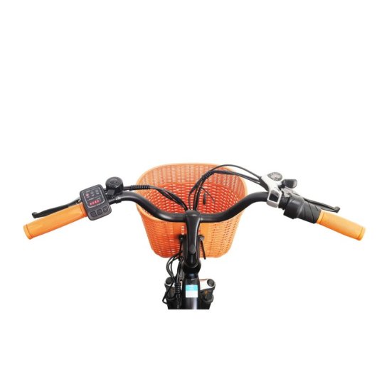 Alfa Elektrofahrrad EB-YY-26ST 250W 36V 14,5Ah 25km/h 6 Gänge