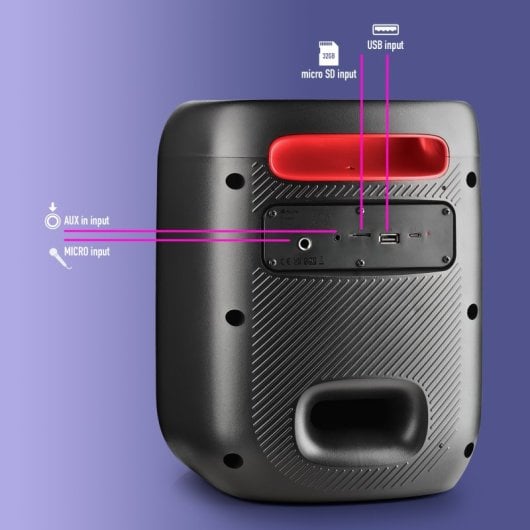 NGS Wild Swag Go Tragbarer Bluetooth-Lautsprecher 80 W Schwarz