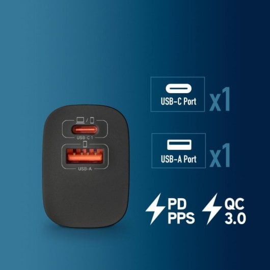 Bud100w