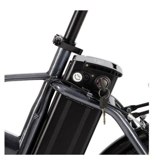 Nilox 20" Faltbares Elektrofahrrad 250W 6-Gang LCD Stahl Orange/Schwarz