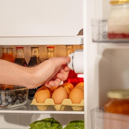 Frigorífico Mini Cecotec Bolero CoolMarket TT Origin 95 Defrost 89cm 95L E Preto