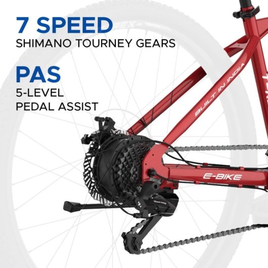 Bicicleta eléctrica EMotorad T-Rex Air 29” 250W 65km LCD Shimano Suspensión Disco