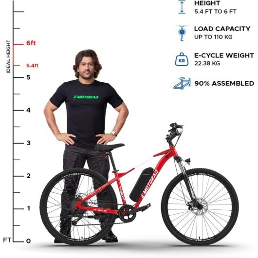 Bicicleta eléctrica EMotorad T-Rex Air 29” 250W 65km LCD Shimano Suspensión Disco