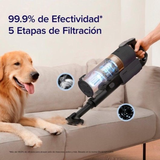 Levoit  LVAC-200 Aspiradora sin cable 180W 50min Animal Care LED filtro lavable antracita-oro