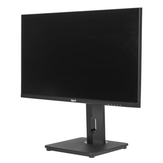 Monitor iggual 24? 1080p 100Hz IPS Pivotante Sin Marco VESA Ajuste Altura